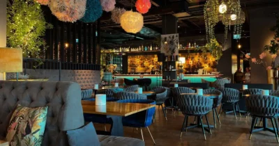 Modern restaurant interior in Baja California Sur with stylish seating, ambient lighting, and a contemporary bar showcasing the region’s elevated dining scene.